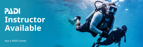 PADI Instructor 600 x 200 Warm Water 1 002