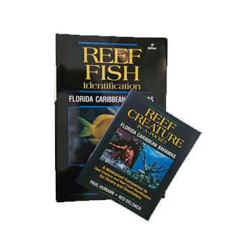 North Florida Divers